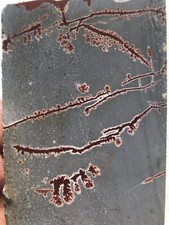 Sonoran dendritic jasper for sale  Montrose