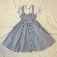 Dorothy dress costume for sale  Murfreesboro