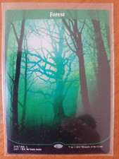 Forest magic gathering for sale  ST. LEONARDS-ON-SEA
