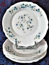 Arcopal veronica assiettes d'occasion  Beaucaire
