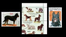 Beauceron berger beauce usato  Spedire a Italy