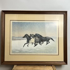 Wild horses signed for sale  Cottage Grove