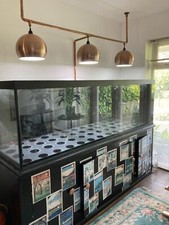Large aquarium vivarium for sale  MANSFIELD