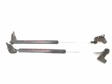 6896044080 pistoncini portello usato  Bagnoli di Sopra