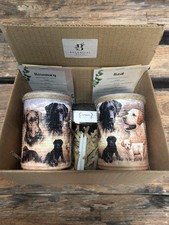 Grow herbs gift for sale  CHESTER