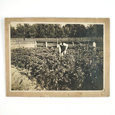 Boy shoveling garden for sale  Portland