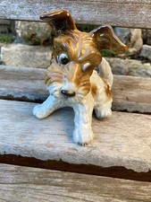 Superbe chien fox d'occasion  La Rochefoucauld
