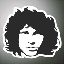 Autocollant the doors d'occasion  Expédié en France