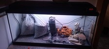 Aquarium komplett sera gebraucht kaufen  Halle