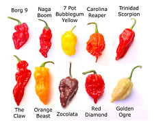 hottest chilli seeds for sale  UK