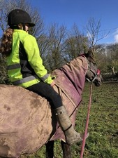 Amigo fig turnout for sale  ST. IVES