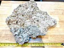 Live marine rock for sale  HITCHIN