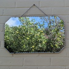 Vintage scalloped edge for sale  ST. NEOTS