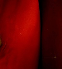 Camoscio rosso vera usato  Dueville