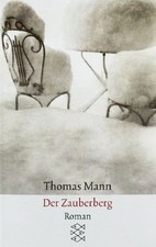 Zauberberg roman mann gebraucht kaufen  Berlin