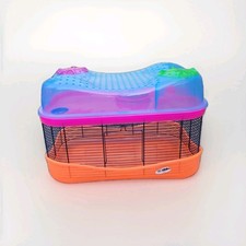 Iamc fantasy hamster for sale  BIRMINGHAM