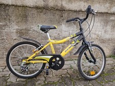 Bici city bike usato  Gorla Minore