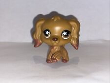 Petshop chien épagneul d'occasion  Toulon-