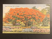 S05 5845 royal for sale  Tenafly