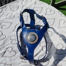 Real leather dog for sale  ANTRIM