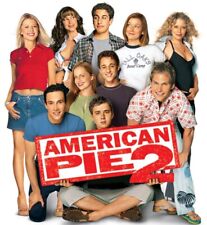 American pie screen for sale  Liverpool