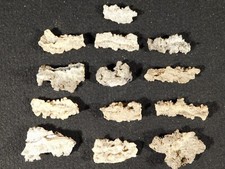 Big lot 100 for sale  Salt Lake City