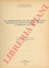 14305 sul comportamento usato  Italia