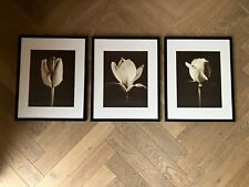 Set framed flower for sale  GUILDFORD