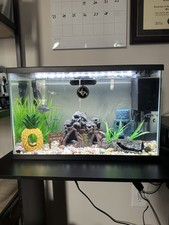 Gallon top fin for sale  Midlothian