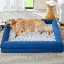 Xxxl big dog for sale  Ashford