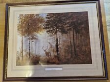 Quiet forest deer for sale  RAYLEIGH