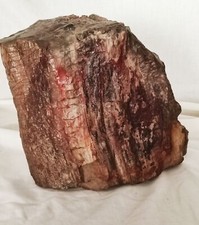 Frammento legno pietrificato usato  Trento