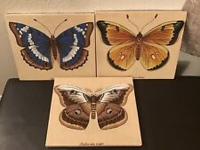 Vintage butterfly moth for sale  Normal