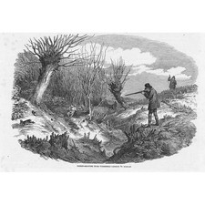 Hunting rabbit shooting for sale  GLASGOW