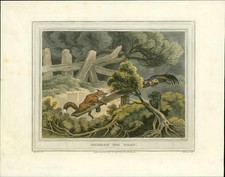 1814 field sports for sale  ASHFORD