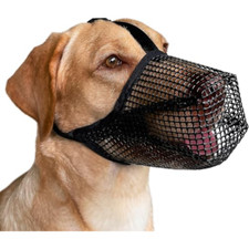 Museruola per cani usato  Roccagloriosa