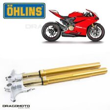 Ducati 1199 panigale usato  Napoli