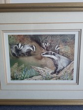 Ann blockley watercolour for sale  STOCKTON-ON-TEES
