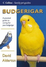 Budgerigar alderton david for sale  ROSSENDALE