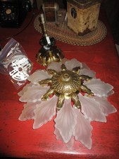 Light peacock chandelier for sale  Green Bay