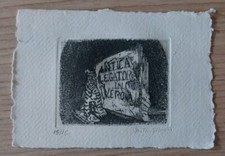 Libris anita treccani usato  San Pietro di Morubio