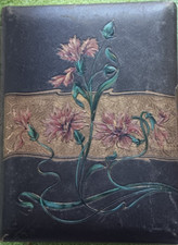 Altes jugendstil fotoalbum gebraucht kaufen  Meschede