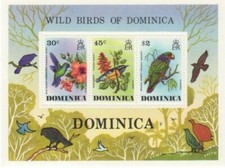 Dominica 1976 wild for sale  Brooklyn