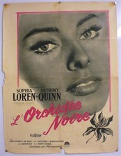 The black orchid d'occasion  France