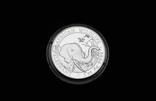 Somalia elephant 2018 gebraucht kaufen  Bergisch Gladbach