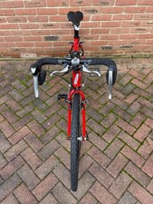 Isla luath red for sale  COLCHESTER
