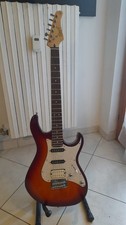 Vendo chitarra elettrica usato  Brandizzo
