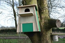 Barn owl box for sale  TETBURY