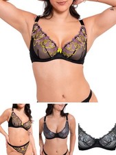 Curvy kate stand gebraucht kaufen  Versand nach Germany