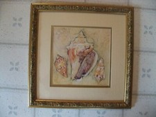 sea shell print for sale sea shell print for sale Snow Hill